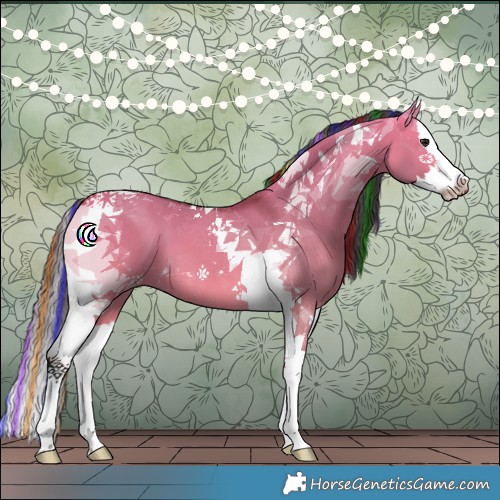 Horse Color:Painted Bay Dun Splash Tobiano 