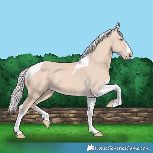 Horse Color:Silver Perlino Tobiano 