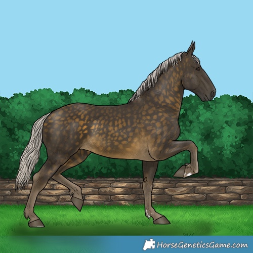 Horse Color:Silver Buckskin 