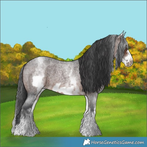 Horse Color:White Spotted Brown Roan Frame