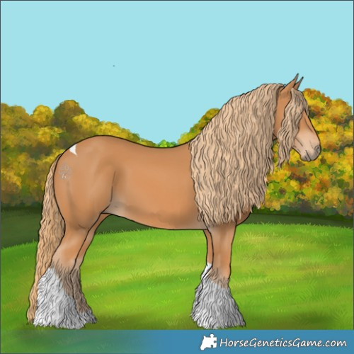 Horse Color:Chestnut Tobiano 