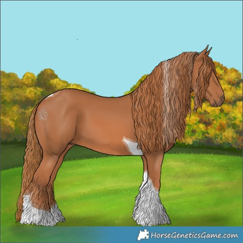 Horse Color:Chestnut Tobiano