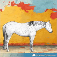 Horse Color:Gray Grullo Roan Appaloosa 