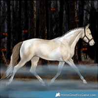 Horse Color:Brown Snowdrop Pearl Dun Tobiano Rabicano 