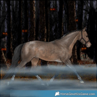Horse Color:Bay Dun Tobiano Varnish Rabicano 