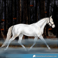 Horse Color:White Spotted Liver Red Dun Snowdrop Pearl Tobiano Snowcap Rabicano 
