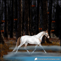 Horse Color:Bay Pearl Tobiano Near Fewspot Rabicano 