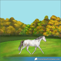 Horse Color:White Spotted Chocolate Bay Pearl Dun Sabino Blanket Rabicano 