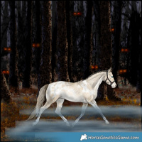 Horse Color:White Spotted Bay Snowdrop Pearl Dun Appaloosa Rabicano 