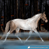 Horse Color:Liver Red Dun Tobiano Varnish Rabicano 