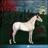 Horse Color:White Spotted Bay Snowdrop Pearl Dun Tobiano Blanket Rabicano 