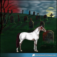 Horse Color:Platinum White Spotted Chocolate Grullo Mushroom Tobiano Appaloosa Rabicano 
