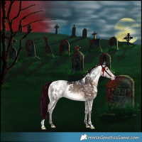 Horse Color:White Spotted Bay Dun Appaloosa Rabicano 