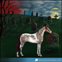 Horse Color:White Spotted Bay Dun Tobiano Snowflake Varnish Rabicano 
