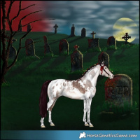 Horse Color:White Spotted Chocolate Brown Dun Mushroom Tobiano Blanket Rabicano