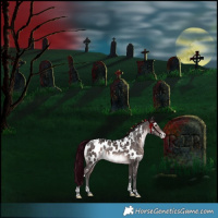 Horse Color:Platinum White Spotted Brown Tobiano Near Leopard Rabicano 