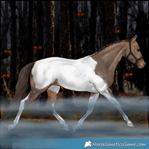 Horse Color:Bay Dun Tobiano Appaloosa Rabicano 