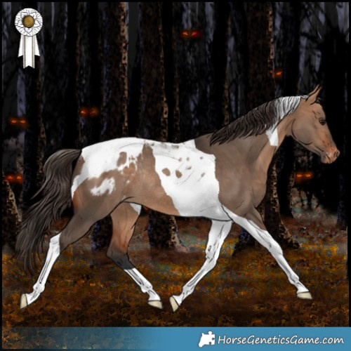 Horse Color:Bay Dun Tobiano Appaloosa Rabicano