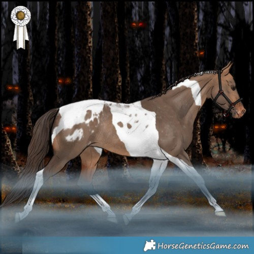 Horse Color:Bay Dun Tobiano Appaloosa Rabicano 