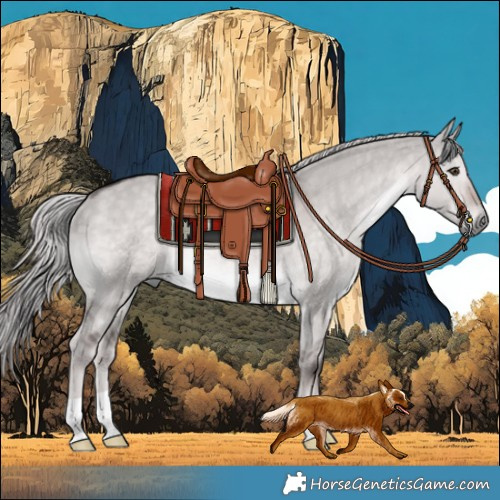Horse Color:Platinum Chocolate Palomino Dun Rabicano 