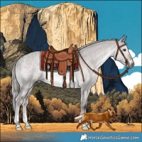 Horse Color:Platinum Chocolate Palomino Dun Rabicano 