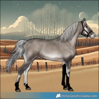 Horse Color:Void Platinum Silver Blue Onyx Tobiano Rabicano 