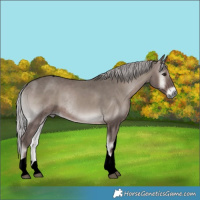 Horse Color:Void Platinum Silver Blue Onyx Tobiano Rabicano 
