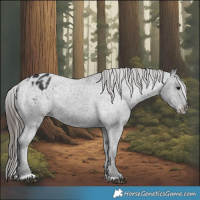 Horse Color:Black Varnish
