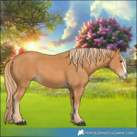 Horse Color:Chestnut Splash 