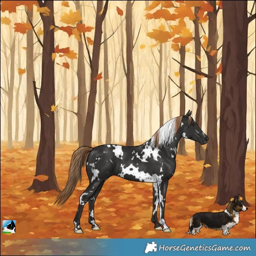 Horse Color:White Spotted Liver Chestnut 
