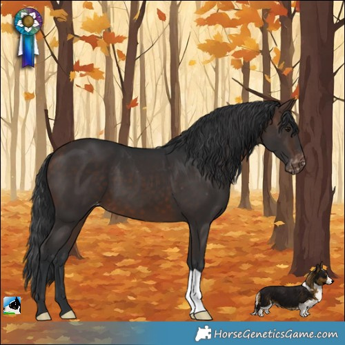 Horse Color:Bay Varnish 