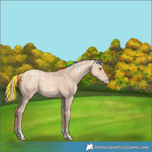 Horse Color:Powder White Painted Gold Champagne Dun Rabicano 