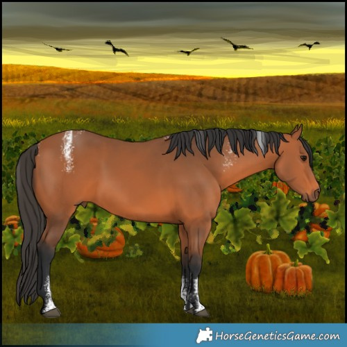 Horse Color:Powder White Bay 