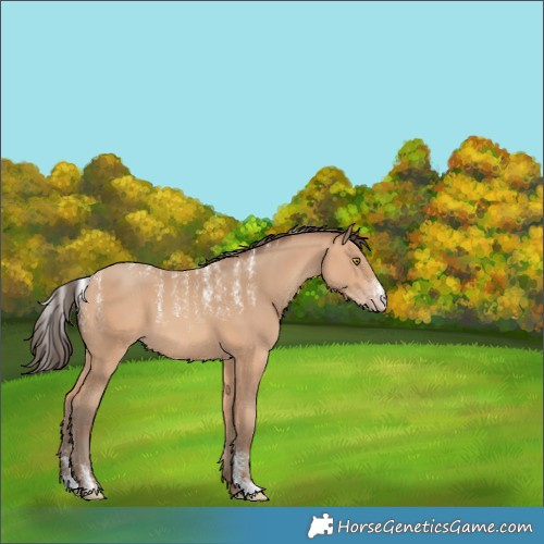 Horse Color:Powder White Amber Champagne 