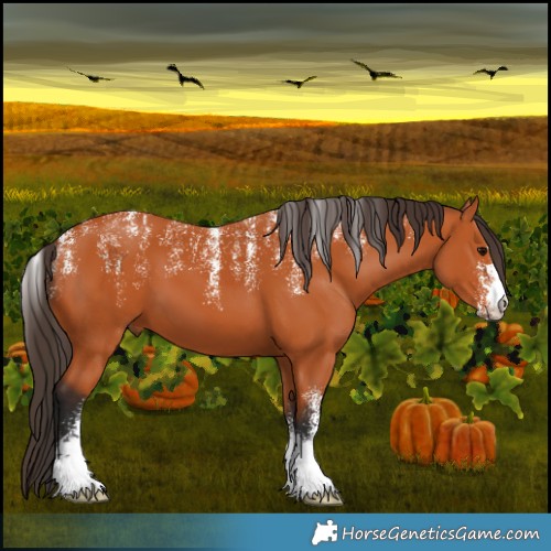 Horse Color:Powder White Bay