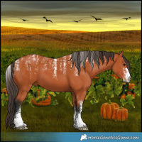 Horse Color:Powder White Bay