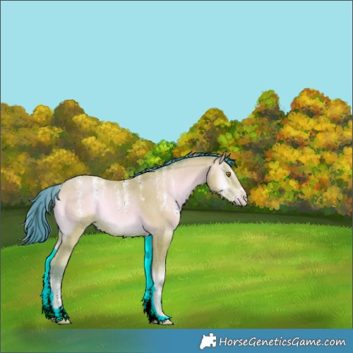 Horse Color:Powder White Watercolor Amber Champagne Onyx 