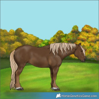 Horse Color:Chocolate Palomino 