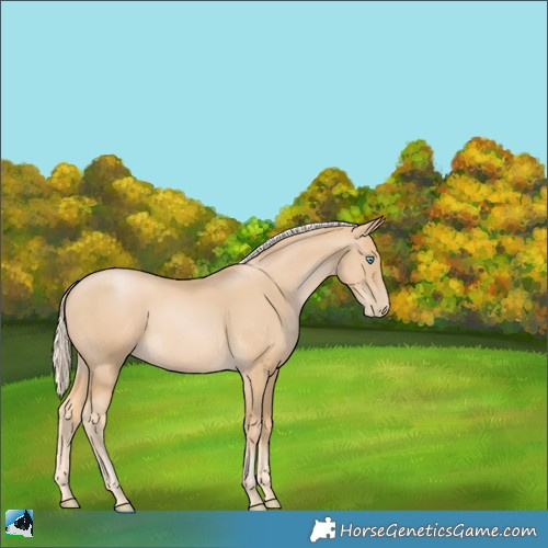 Horse Color:Palomino Pearl 