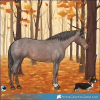 Horse Color:Liver Chestnut Varnish 