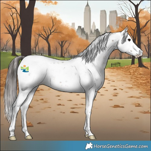 Horse Color:Bay Sabino Snowflake VarnishRabicano 