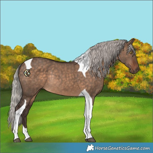 Horse Color:Silver Brown Dun Tobiano Rabicano