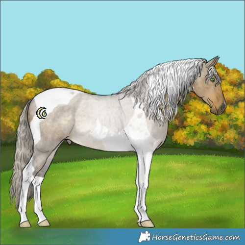 Horse Color:Silver Smoky Grullo Tobiano 