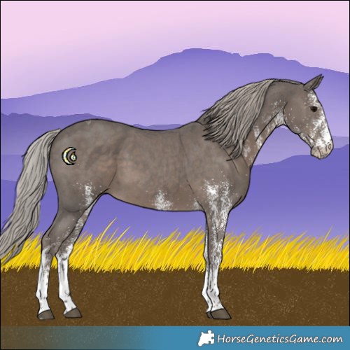 Horse Color:White Spotted Silver Black Tobiano 