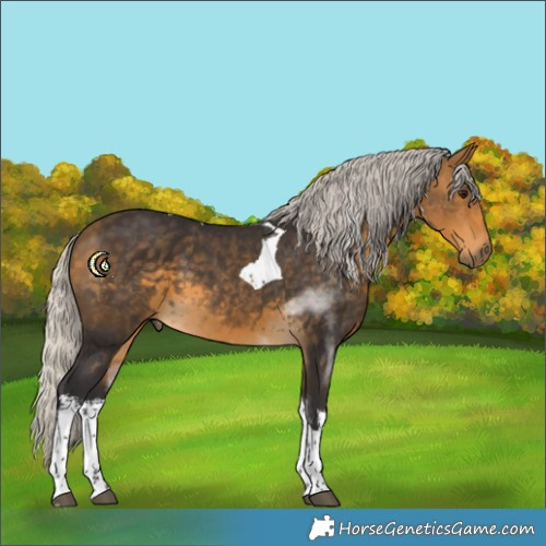 Horse Color:White Spotted Silver Buckskin Tobiano