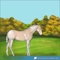 Horse Color:White Spotted Silver Perlino Tobiano Varnish