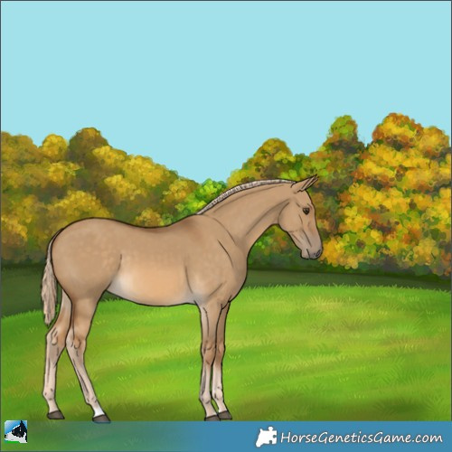 Horse Color:Chocolate Palomino Dun Rabicano 