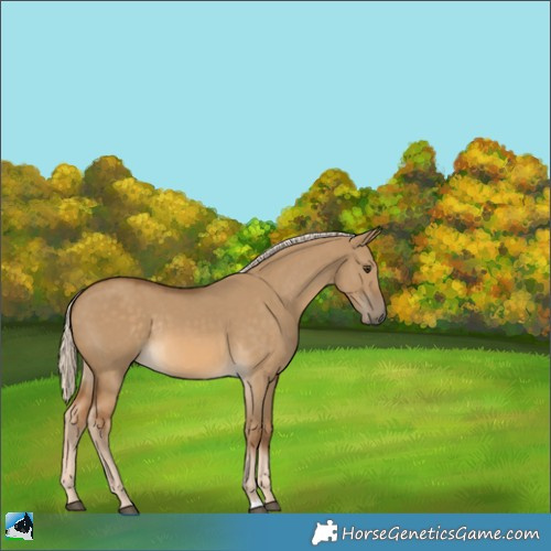 Horse Color:Chocolate Palomino Dun Rabicano 