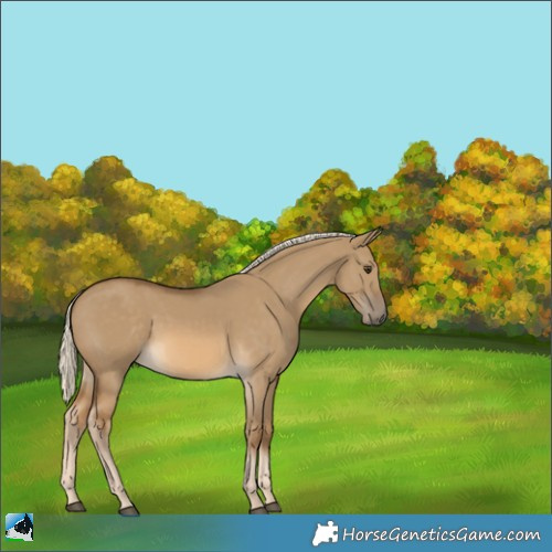 Horse Color:Chocolate Palomino Dun Rabicano 