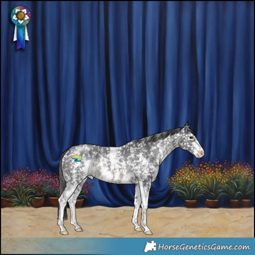 Horse Color:Black Sabino Snowflake Varnish Rabicano 